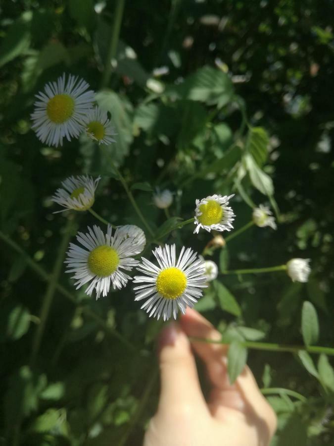 " Relax & Enjoy " Apartman Szarajevó Kültér fotó